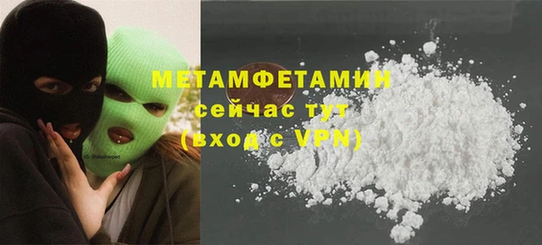 крисы Няндома