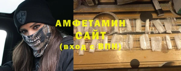 крисы Ельня
