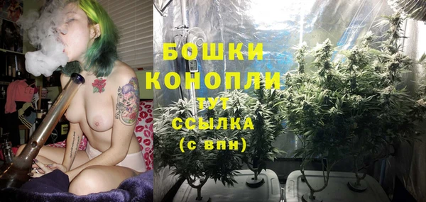 ПСИЛОЦИБИНОВЫЕ ГРИБЫ Абдулино