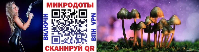 Галлюциногенные грибы мицелий  МЕГА ТОР  Нерчинск  закладки 